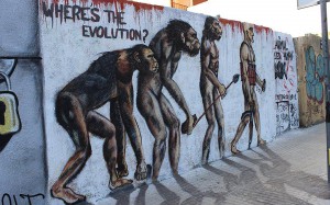 evolution