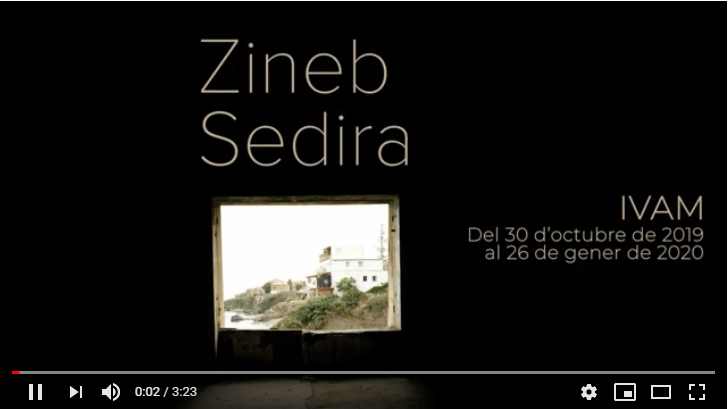 Video Zineb