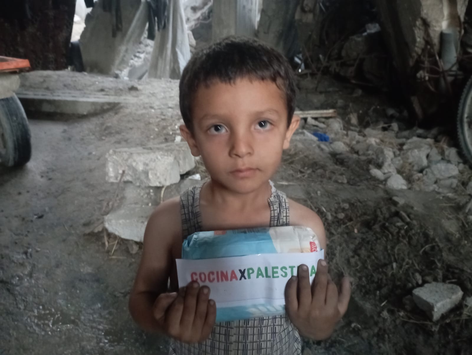 Envío de ayuda a Gaza (junio 2025)