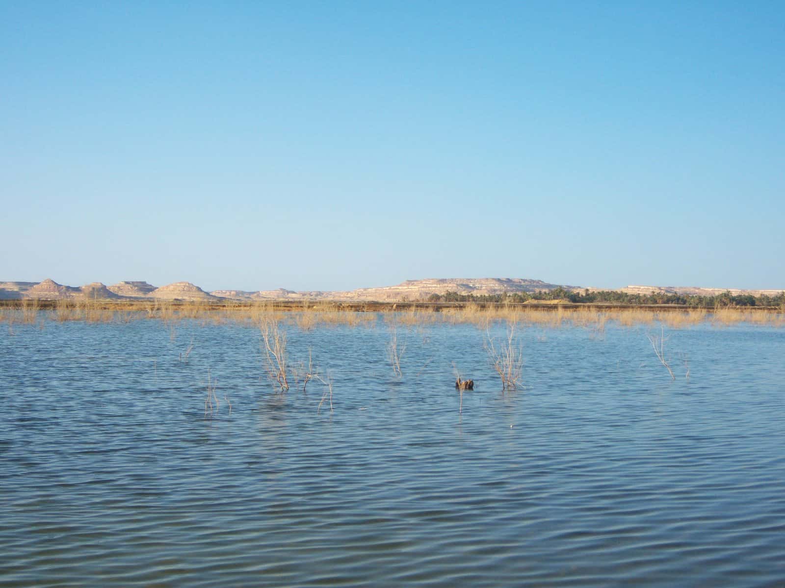 Saudi Arabia: water desalination with solar energy
