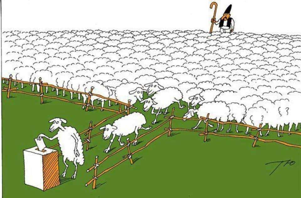 ¿Cuáles son las apuestas de las elecciones marroquíes?