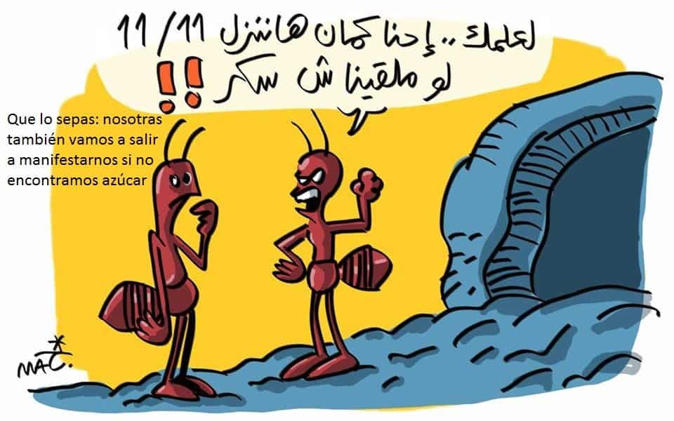 EDITORIAL.  El FMI y las reformas de Al Sisi