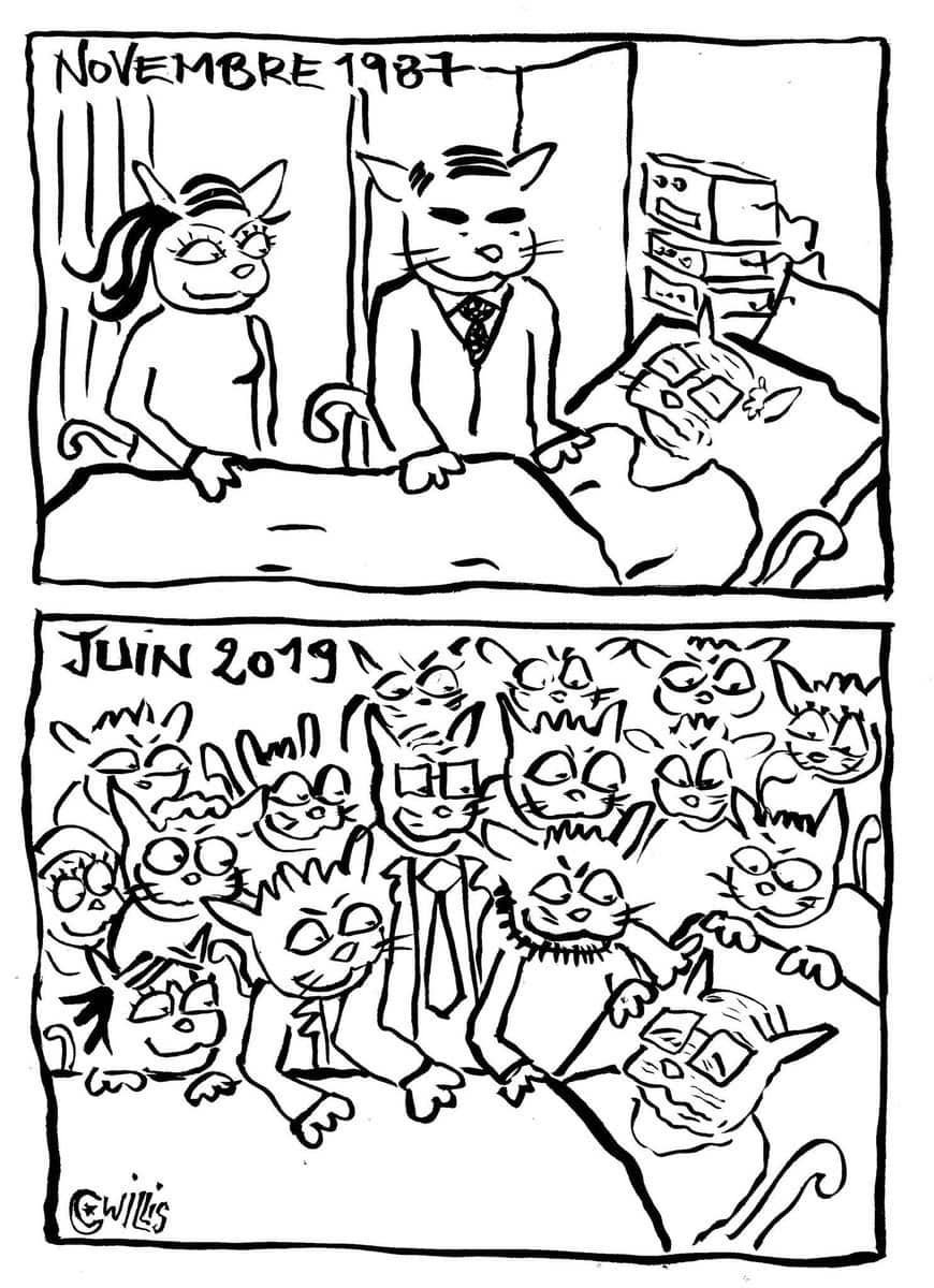 Se deteriora el estado de salud del presidente tunecino, Willis from Tunis, Twitter, 29.06.2019