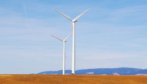Morocco "harvests" wind and solar power