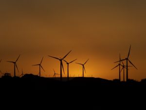 Negotiations between the Maghreb countries and Europe on green energy agreements